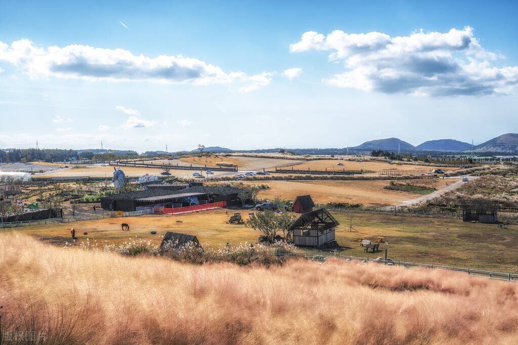 济州岛自由行免签吗,免签城市济州岛