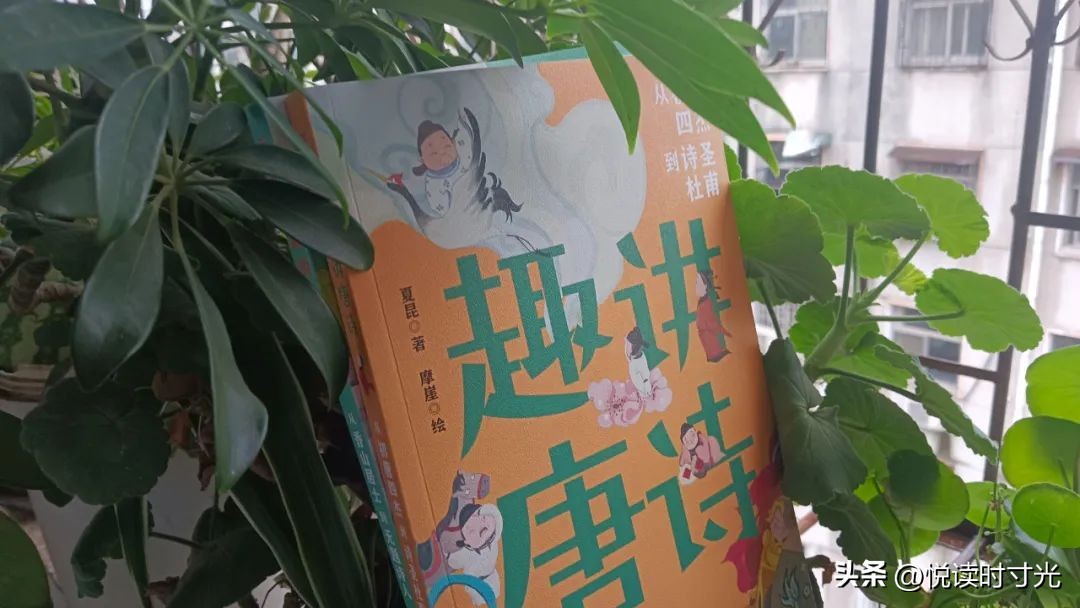 解读最美唐诗宋词,唐诗宋词经典推荐及阅读心得