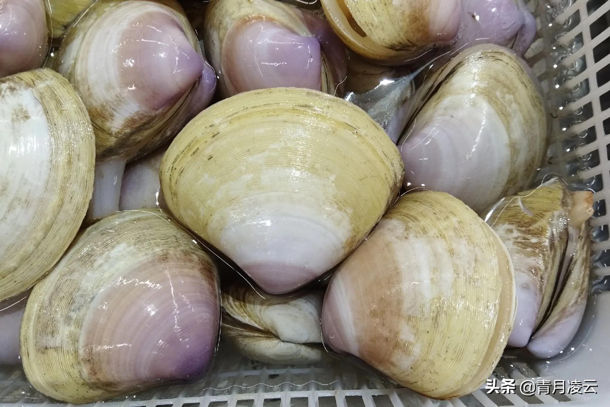 海鲜市场常见海产品图鉴,海鲜市场常见海产品图鉴表图例