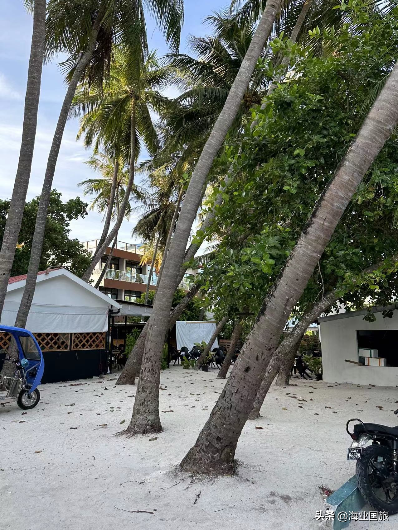 马尔代夫岛民生活,马尔代夫马富士居民岛攻略