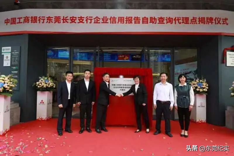 东莞市企业征信系统查询,东莞企业信用报告怎么查询