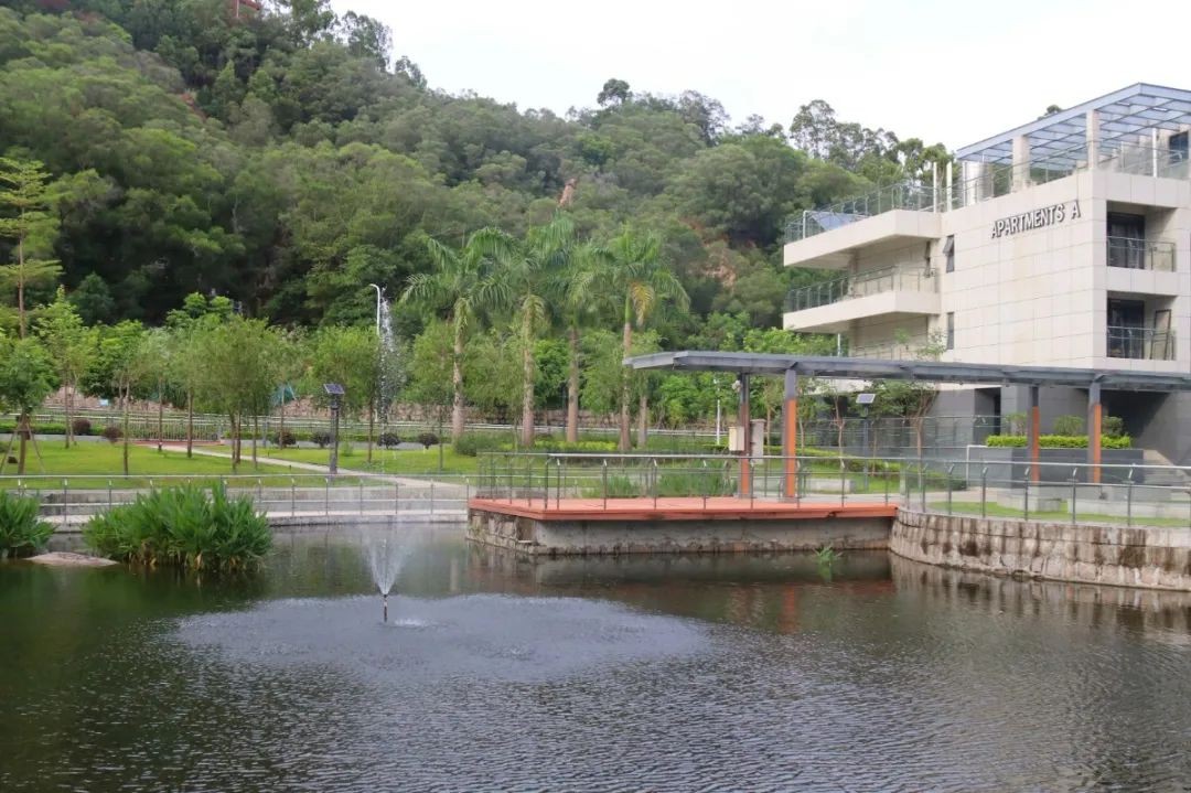 又是“别人家的大学”!“两房一厅”宿舍,“花园楼阁”餐厅!