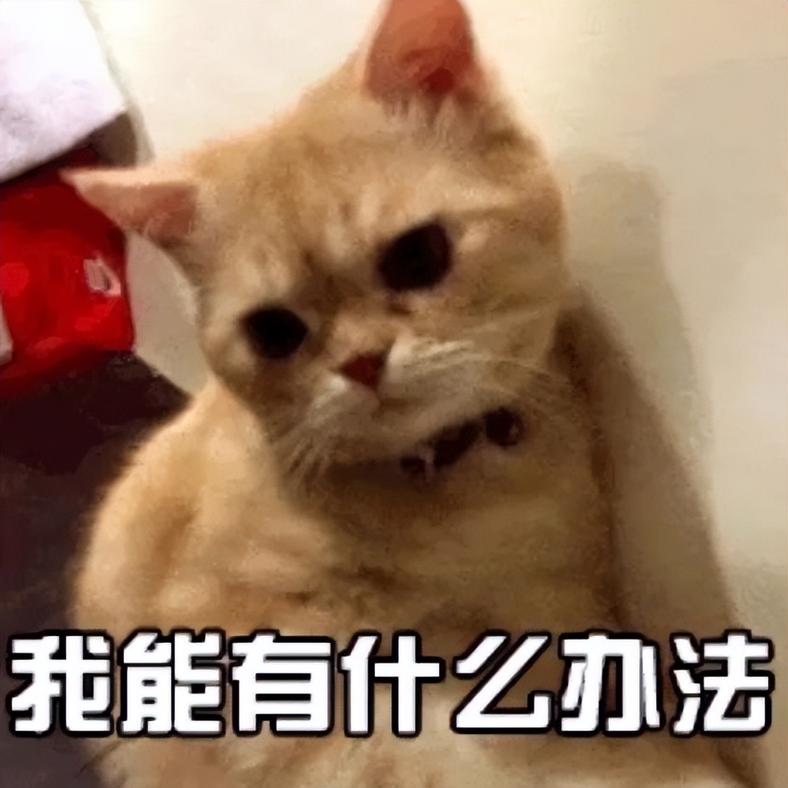 华为数通考试报名怎么报,华为数通基础知识入门