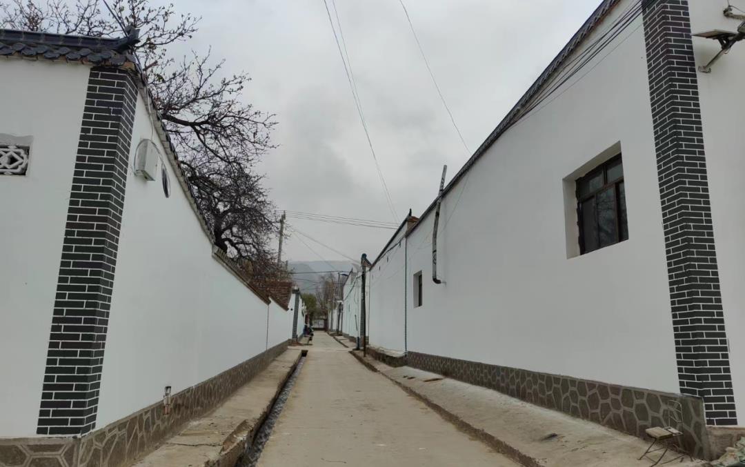 振兴东乡帮扶有我“手掌骨折了，但工作不能打折”