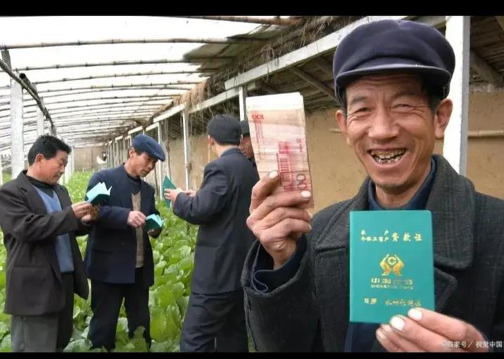 农民证有什么补贴,村里有好几种证可以领补贴