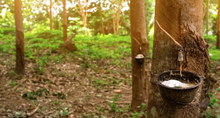 良心推荐一款超好用乳胶枕,乳胶枕推荐性价比排行榜