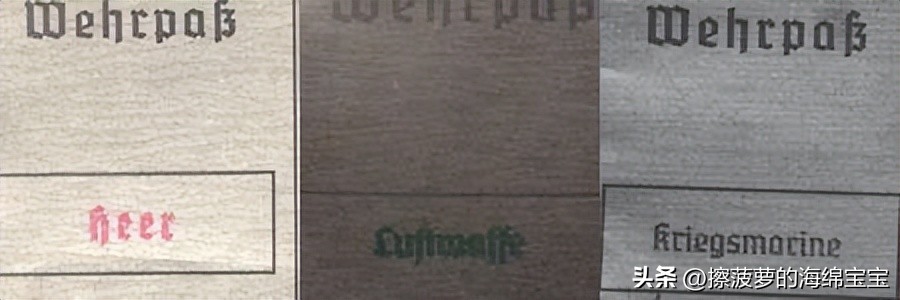 二战时德国军人的肩章,二战德国兵种领章