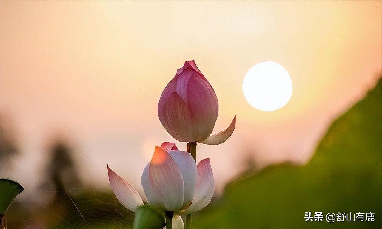 家中有这三种子孙福气会不请自来,家庭出现三点是衰败信号