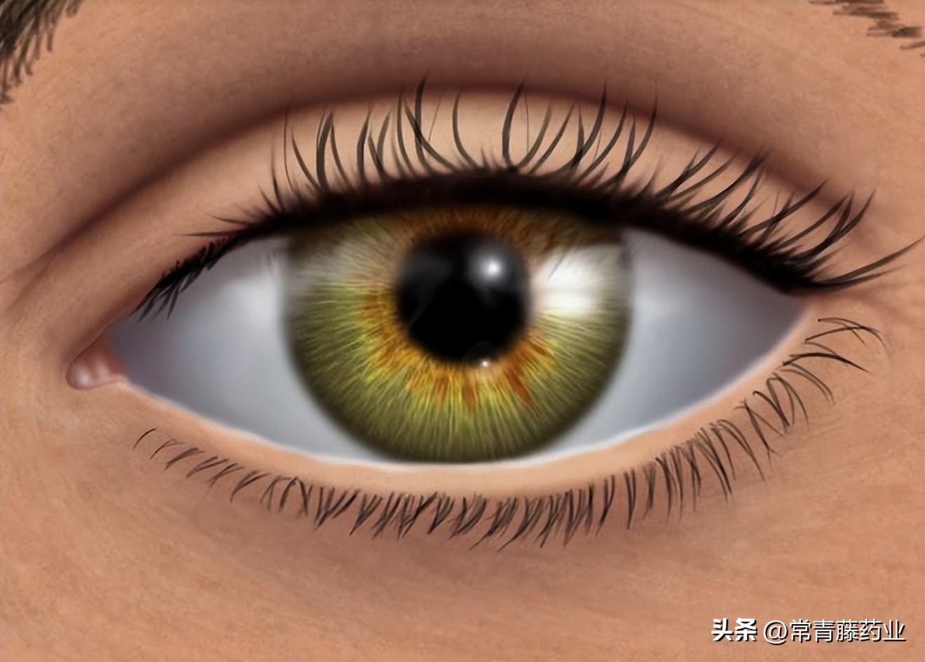 眼睛里出现一条又白又长的一条线,眼睛里出现了一个白点