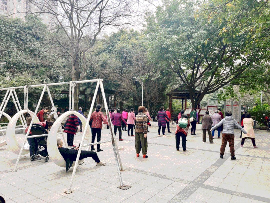 12条时髦老街，长满晒太阳的成都人