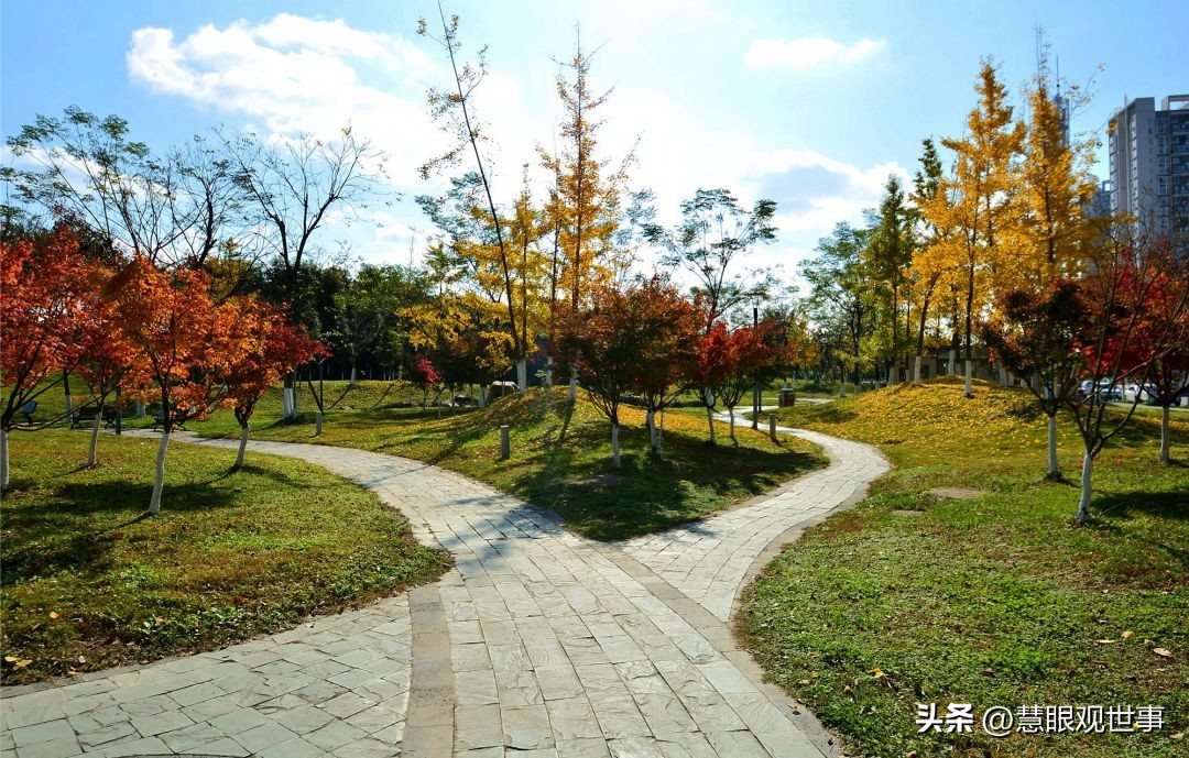 自然现象的古诗词,学生必背古诗词41到60句