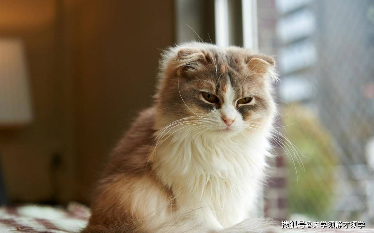 闺蜜夸赞泳衣：抵挡浪花，质量保证！