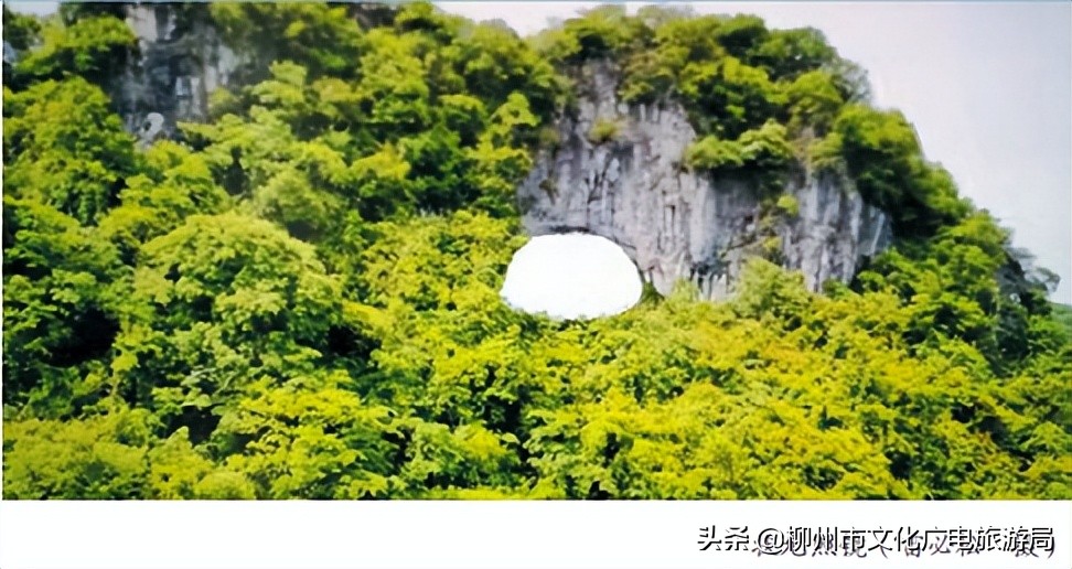 状元楼里出状元,山里的状元