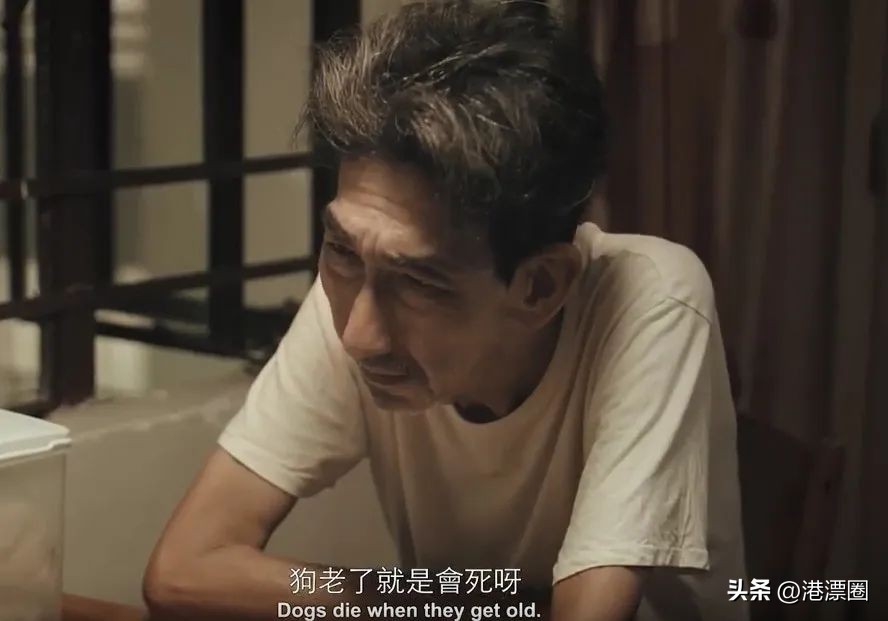 香港老一辈演员来大陆,老一辈香港明星现身综艺节目