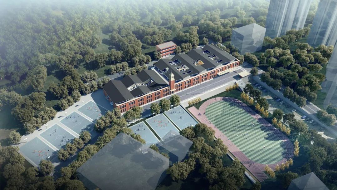 无法躺平的深圳妈妈：我从幼儿园起就等待这所顶流IB校开学