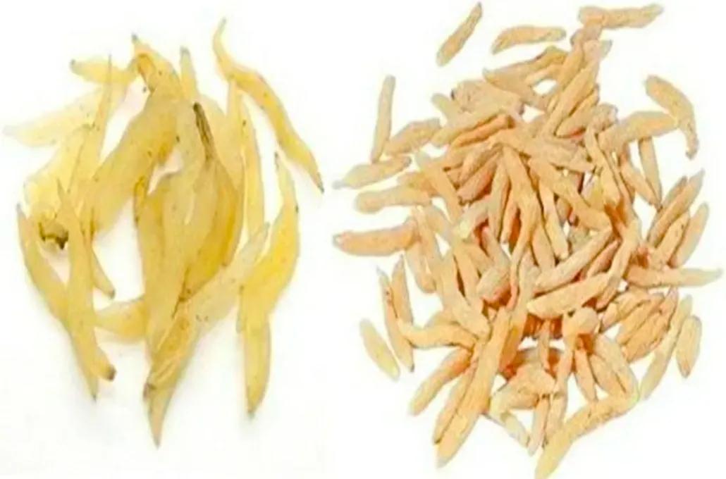 七味中药补气补肾强心,补气养血安心养神的中药