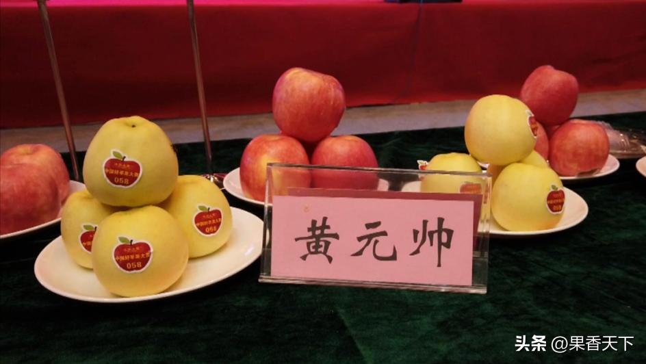 嘎啦苹果还能“活”多久？