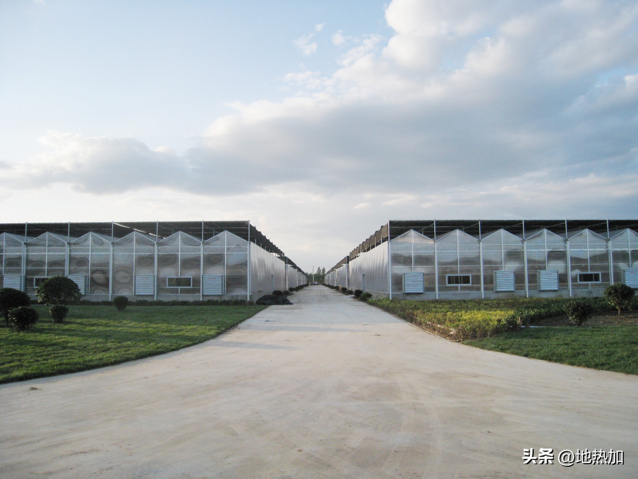 华清荣益王小健：期待豹变