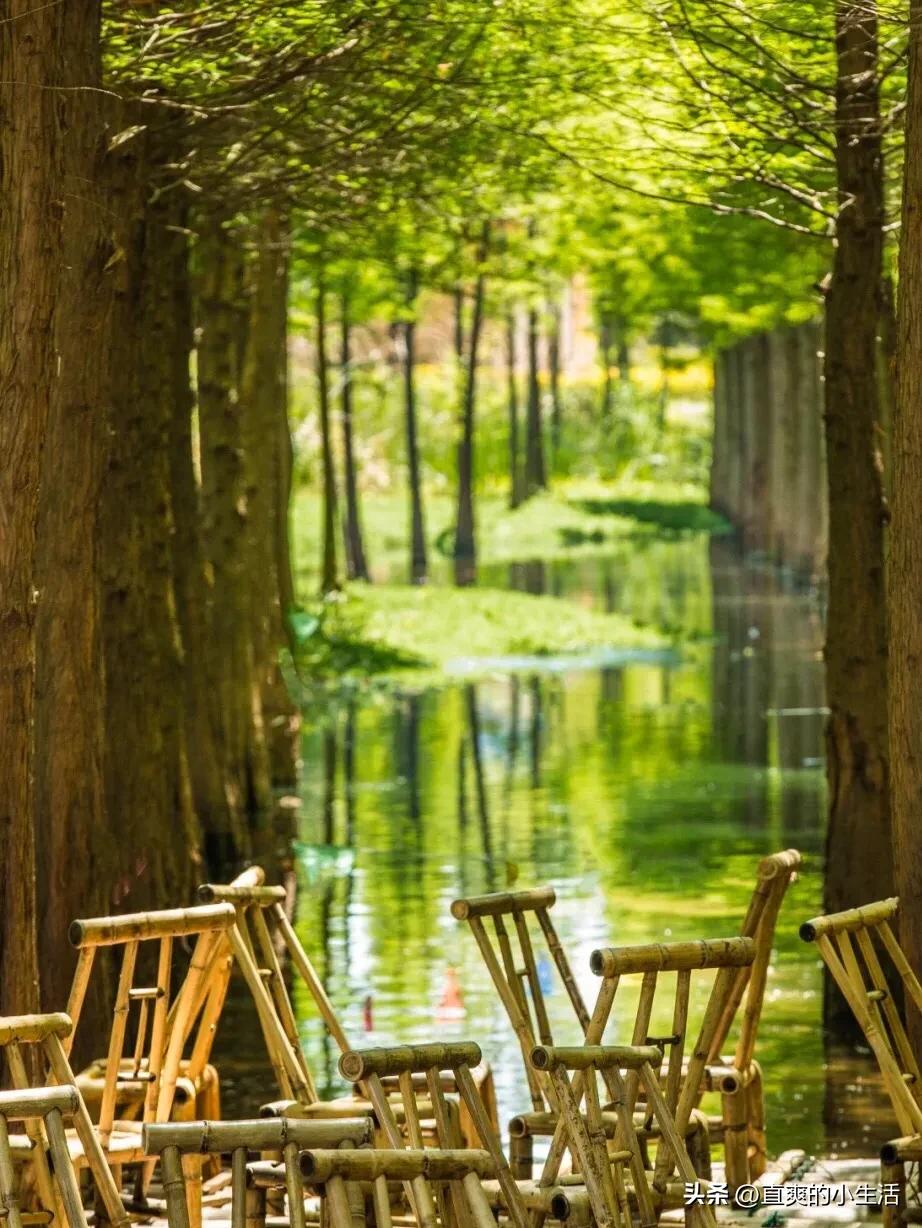 昆明作为中转站周边旅游攻略,昆明中转站的风景