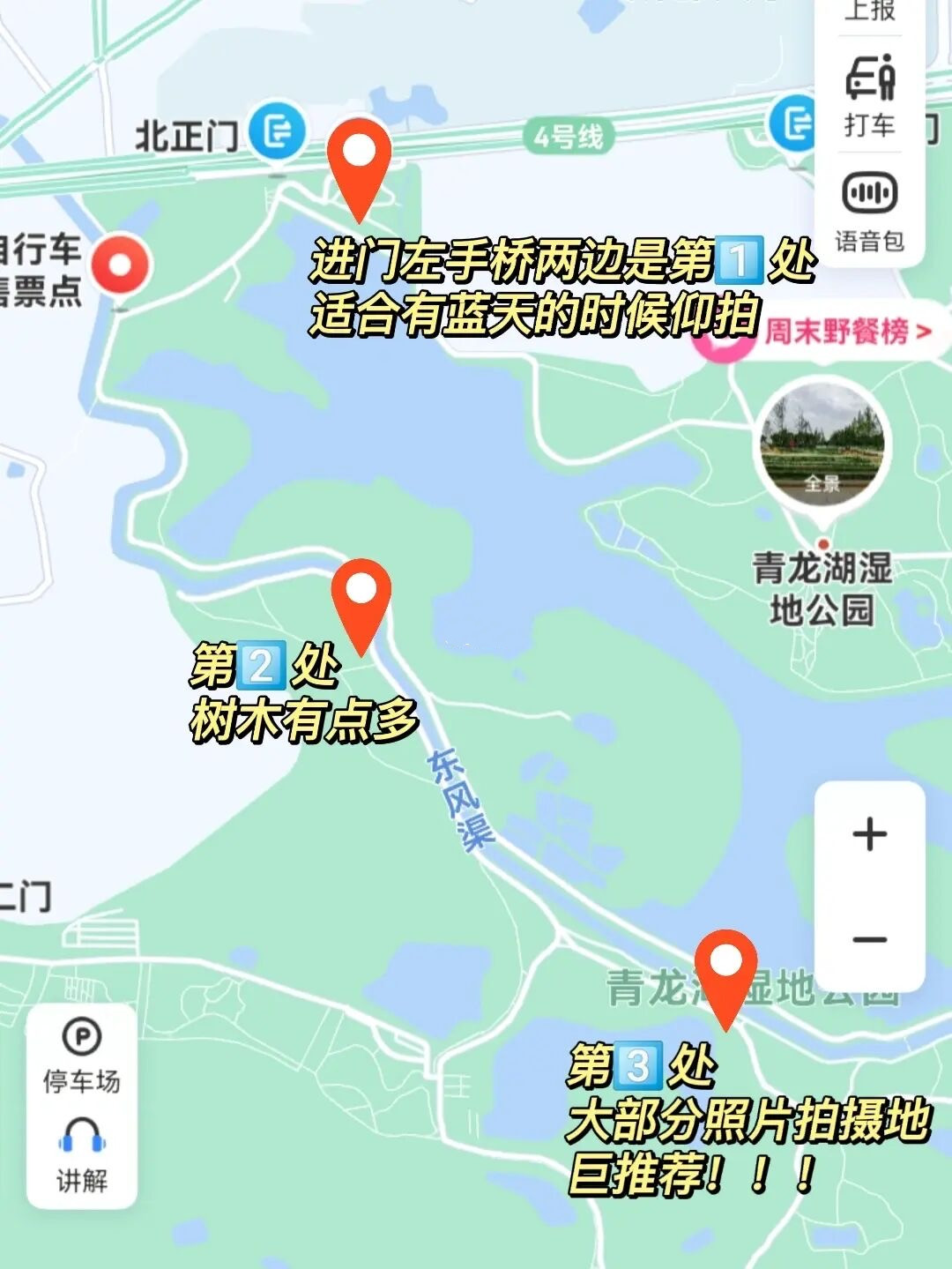 金鸡菊花海旅游攻略,金鸡菊花海美景