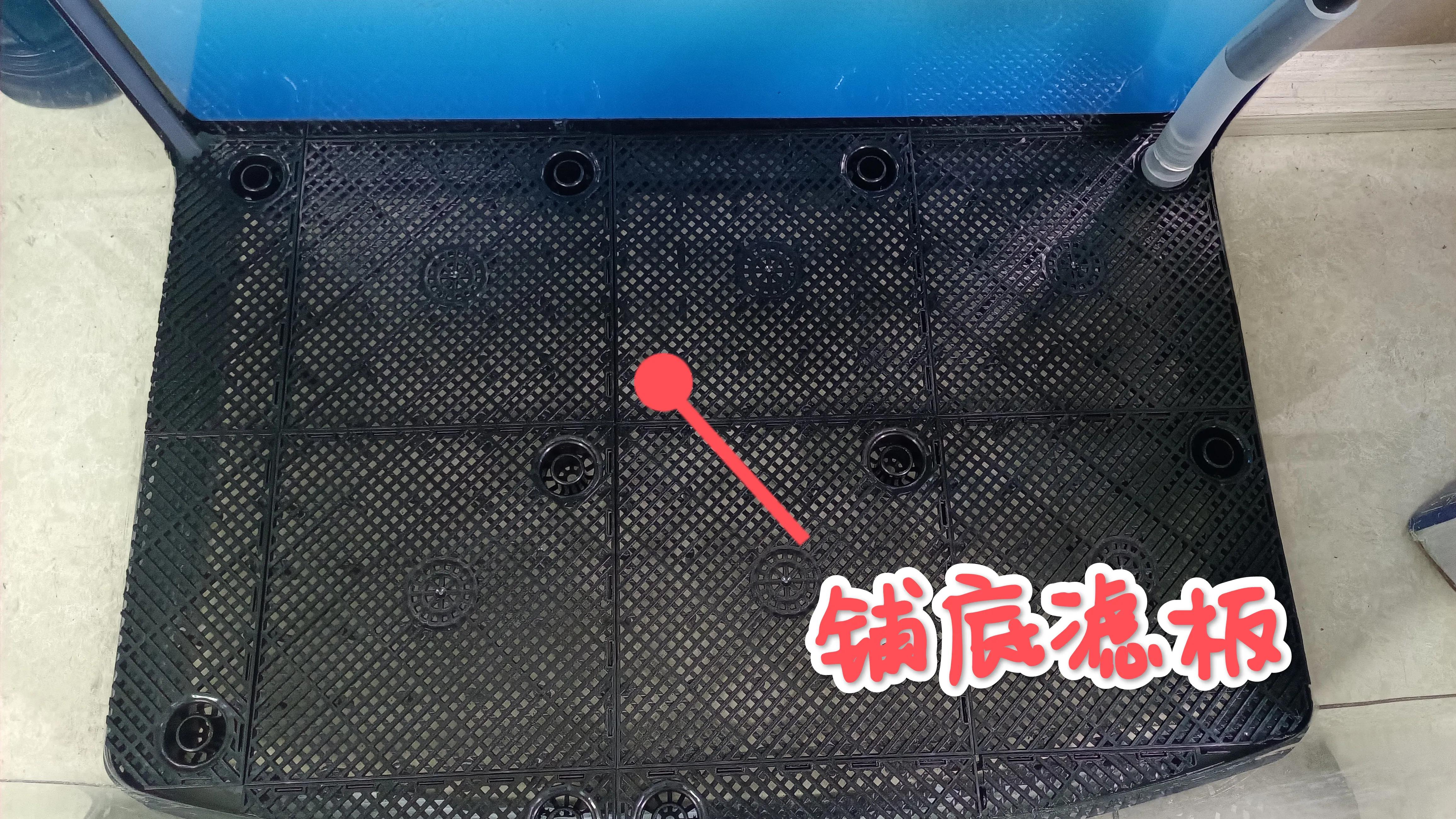 闽江溪流鱼缸,溪流缸自制鱼缸全部过程