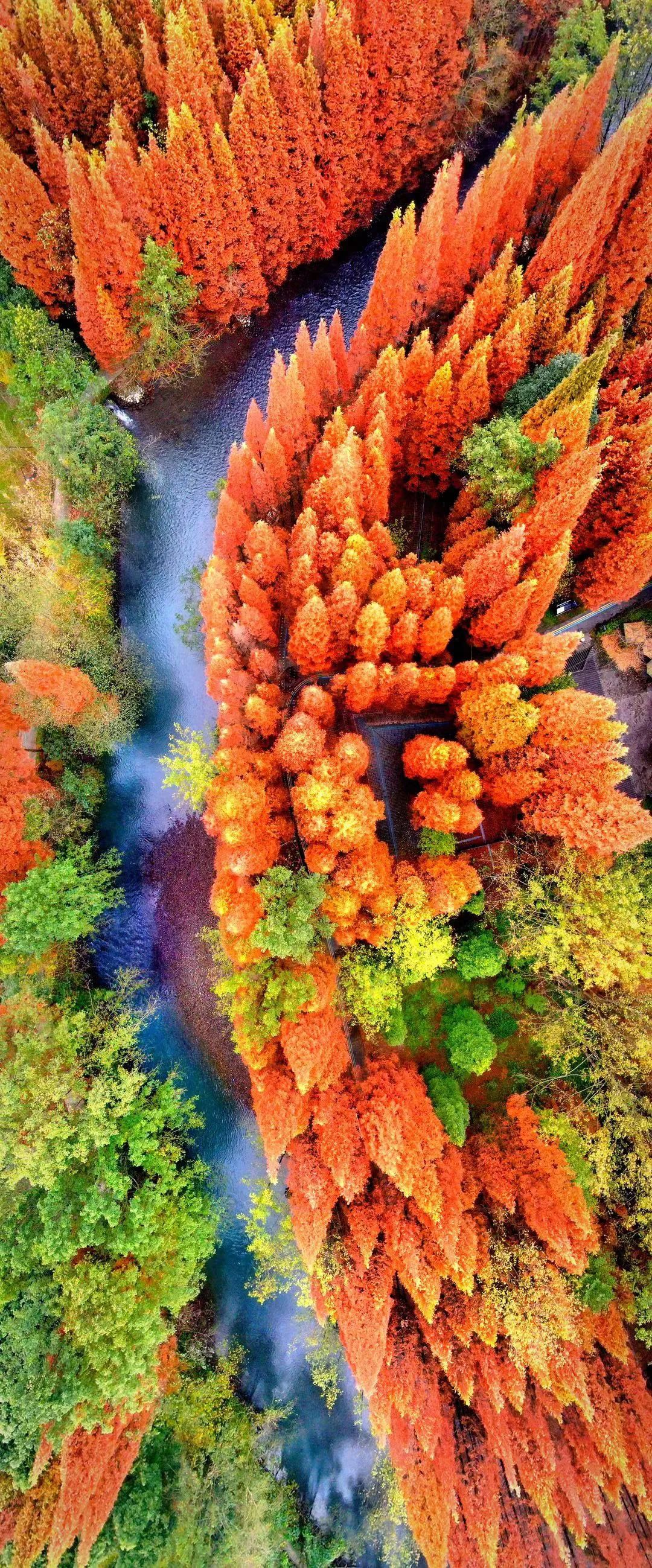 成都向上最新信息,年度向上力量合照