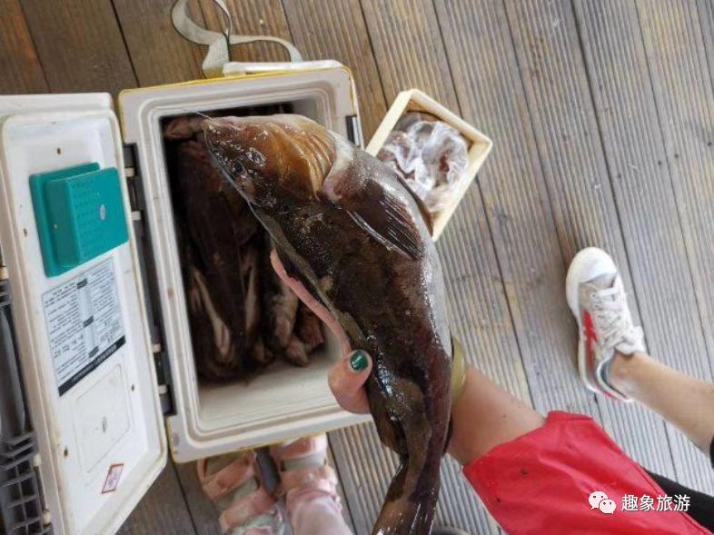 马尔代夫最有趣的岛,马尔代夫天然岛推荐