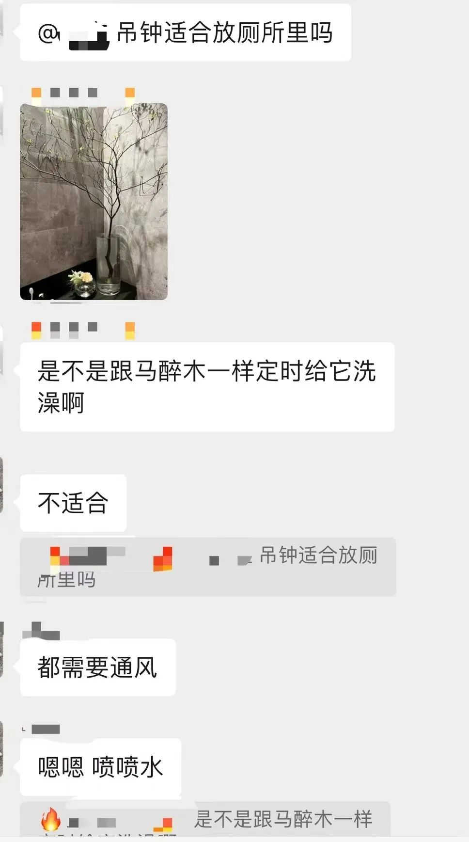 鲜花在水里能养几天会死,新加坡盆栽花卉怎么养