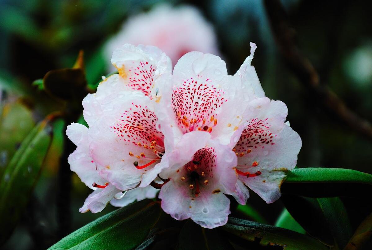 遥借清风览万里,唯有离骚驻世间。端午感怀