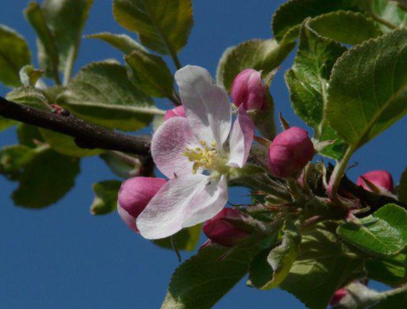 解密-仓单质押保证金业务