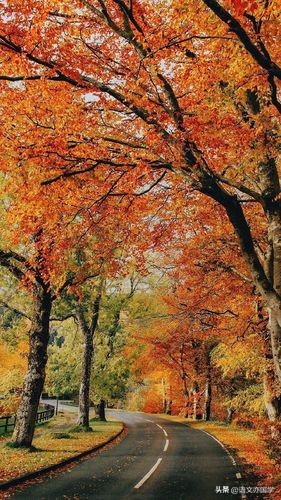 关联词分类50个常见关联词,关联词的八种关系的复习方法