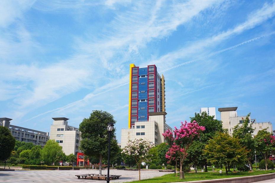 浙江传媒学院2023艺术类招生公示,浙江传媒学院2023艺术类招生规则