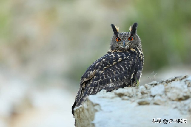 火焰山为什么是中国最热的地方,中国火焰山历史