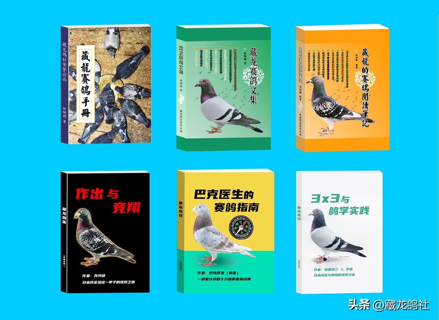 被两度禁赛的杰夫·冯莱尔袒露赛鸽的绝学