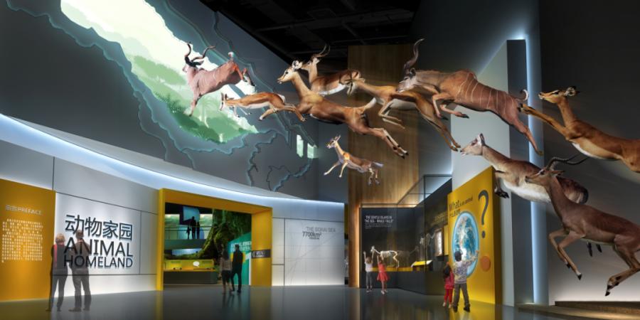 河南省科技馆预约入口,河南科技馆预约成功后怎么查看