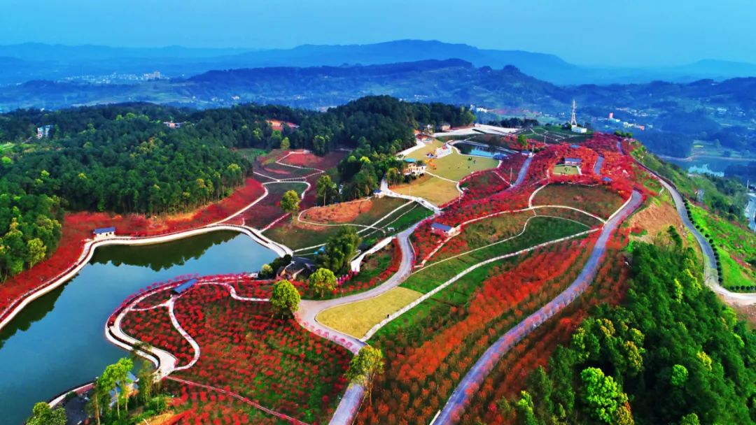 发布会丨发福利、送奖品、跑半马、听音乐……本周六起,巴南邀你陆海之约