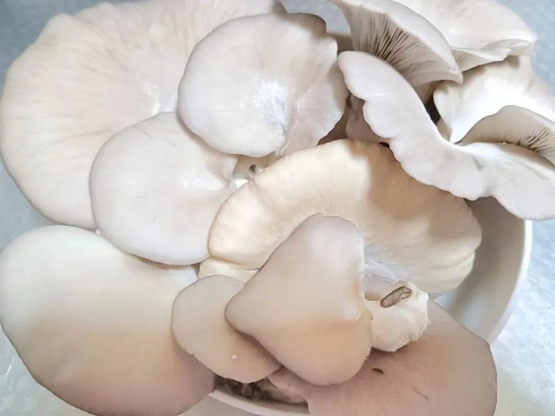 如何成为一名优秀的穿搭师,如何找到适合自己的组搭子