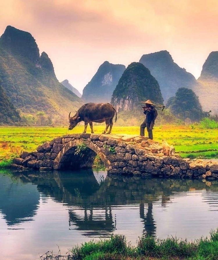 关于谷雨的绝句的古诗,谷雨节气的古诗7言绝句