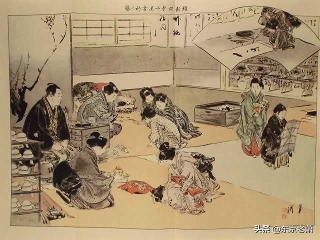 粉红沙龙适合什么地区,粉红沙龙是什么