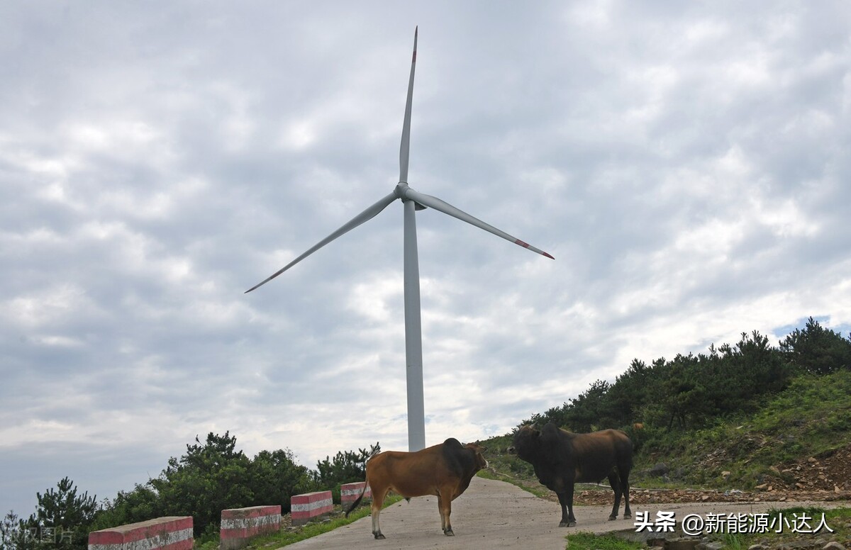 中节能甘肃风力发电有限公司,甘肃风力发电招聘信息