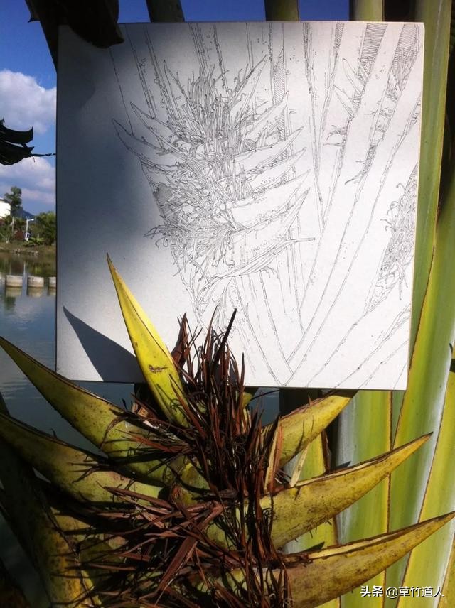 绘画艺术形象及其审美意义,中国绘画的审美特点4字