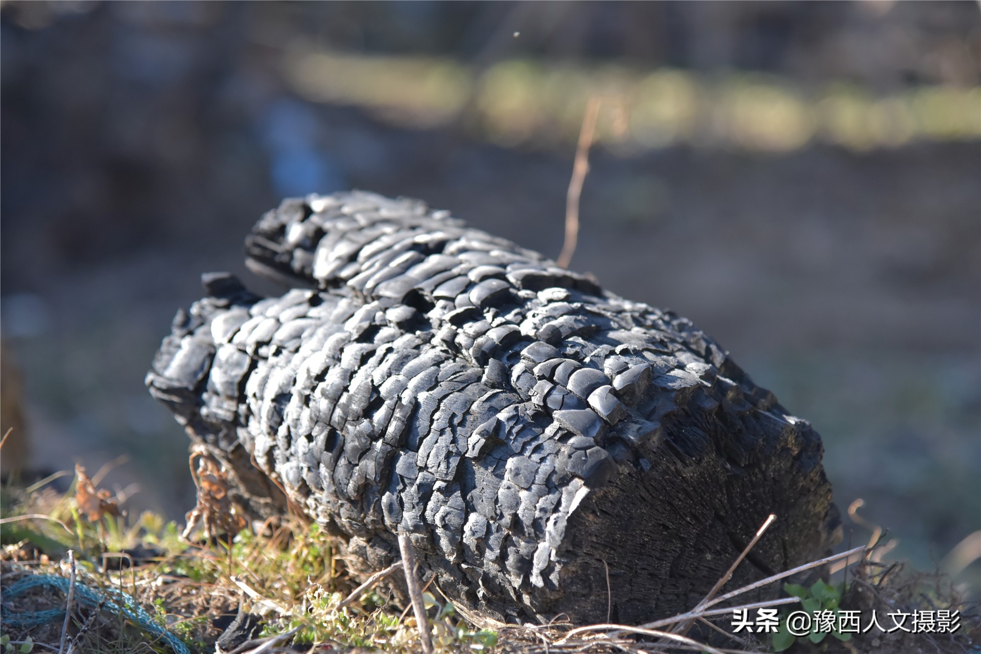 孤山坟墓葬在哪里好,孤山上的坟墓