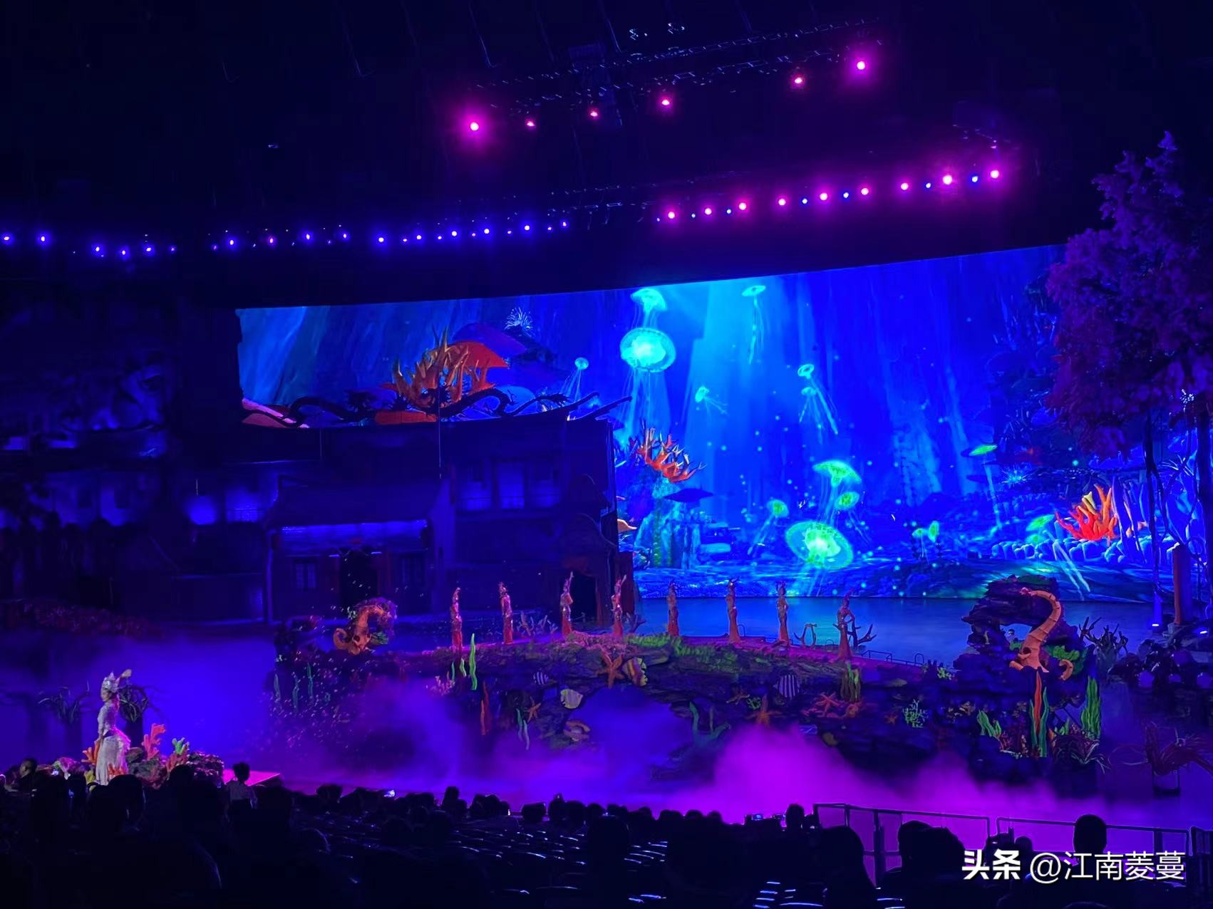 浙江海岛和厦门哪里值得去,为什么那么多人选择去厦门旅游