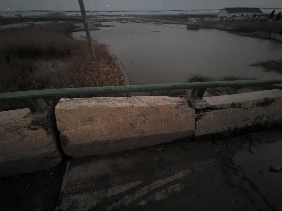 连云港舆情,连云港今日舆情