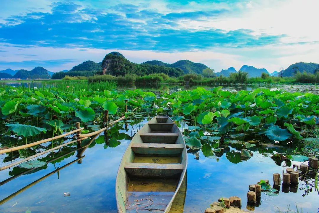 云南普者黑在哪个城市,云南普者黑最美的风景在哪里