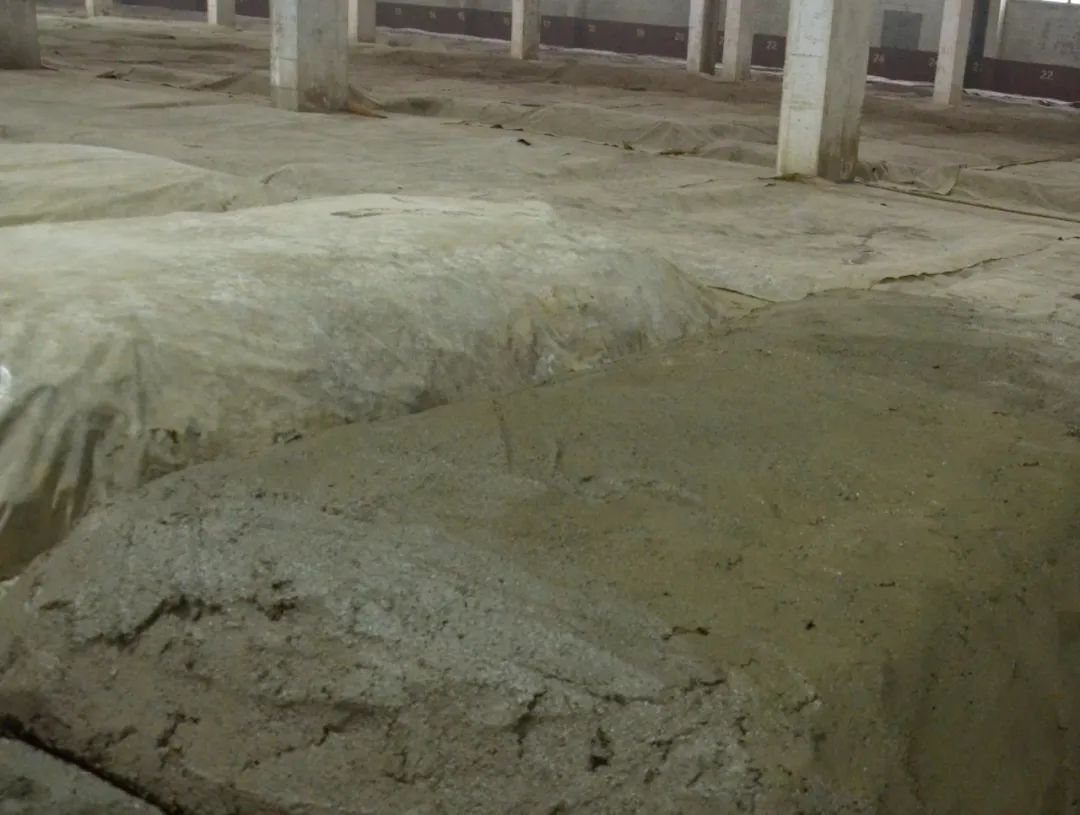 杜康原窖与酒祖杜康的区别,杜康发展史