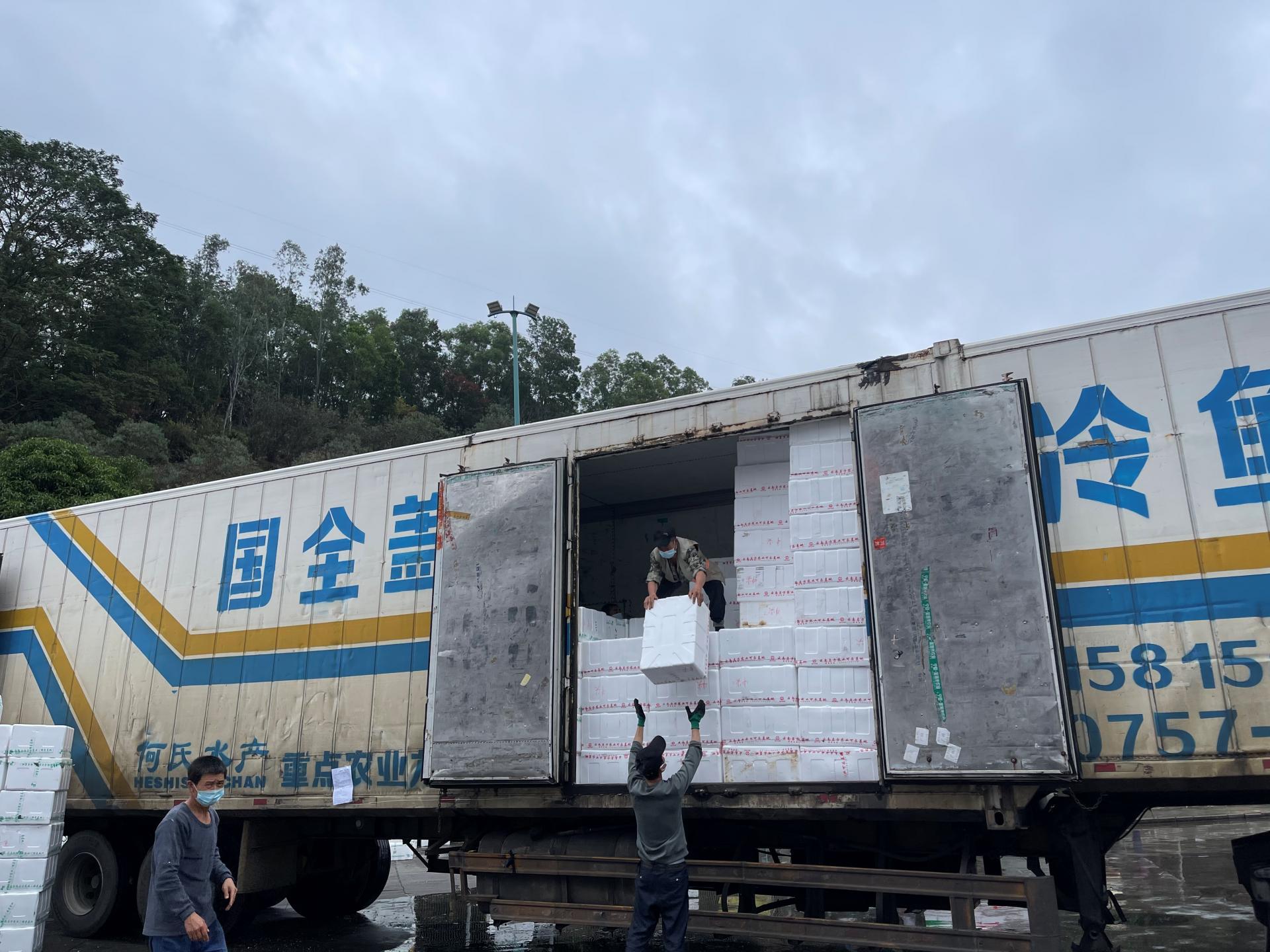 深圳海吉星年货,新春走基层海鲜市场