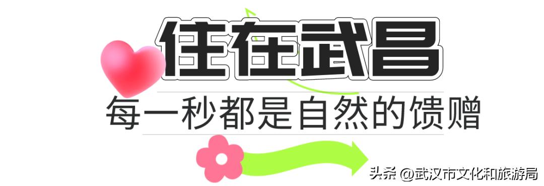 值得去无数次的地方,去了风景很美的地方