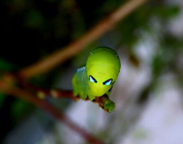 100个难得一见照片,难得一见12张照片