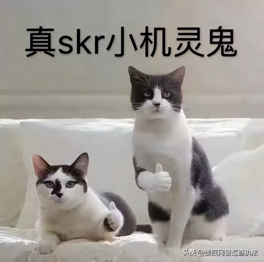 花5万来投资提升自己,花25万加盟什么项目